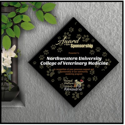 13" Diamond Black Acrylic Plaque