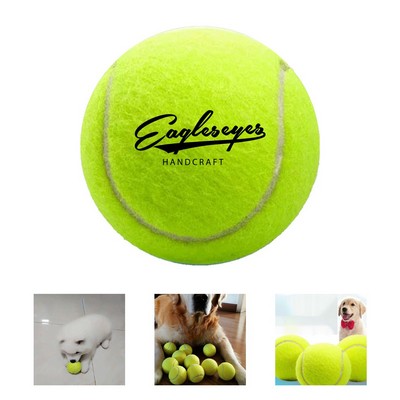 Pet-Friendly Tennis Ball